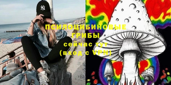 прущий лед Михайлов
