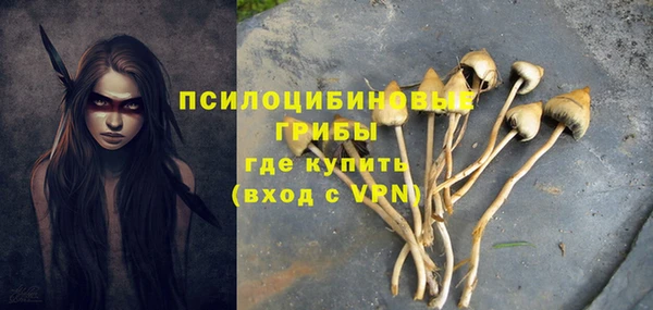 прущий лед Михайлов