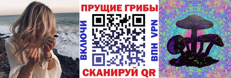 Галлюциногенные грибы GOLDEN TEACHER  mega как войти  Урус-Мартан 